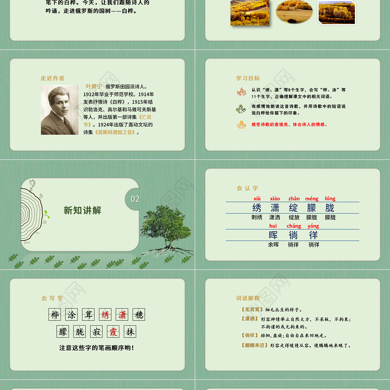 2022白桦PPT第11课小学四年级语文下册部编人教版教学课件