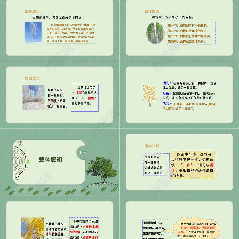 2022白桦PPT第11课小学四年级语文下册部编人教版教学课件