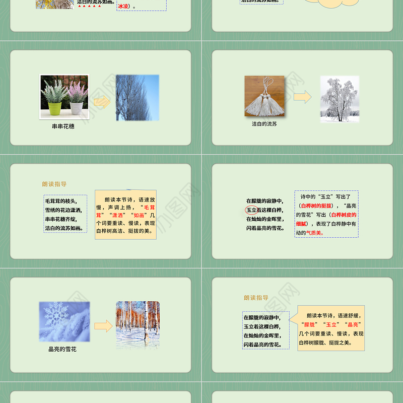 2022白桦PPT第11课小学四年级语文下册部编人教版教学课件