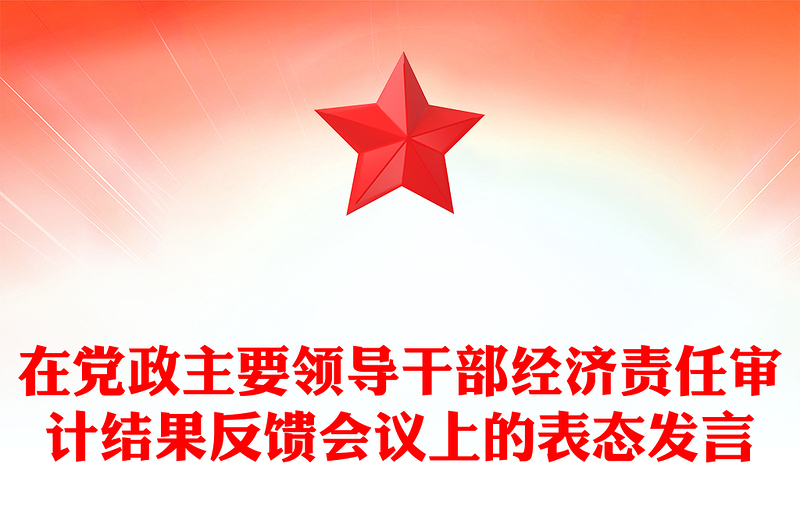 在党政主要领导干部经济责任审计结果反馈会议上的表态发言