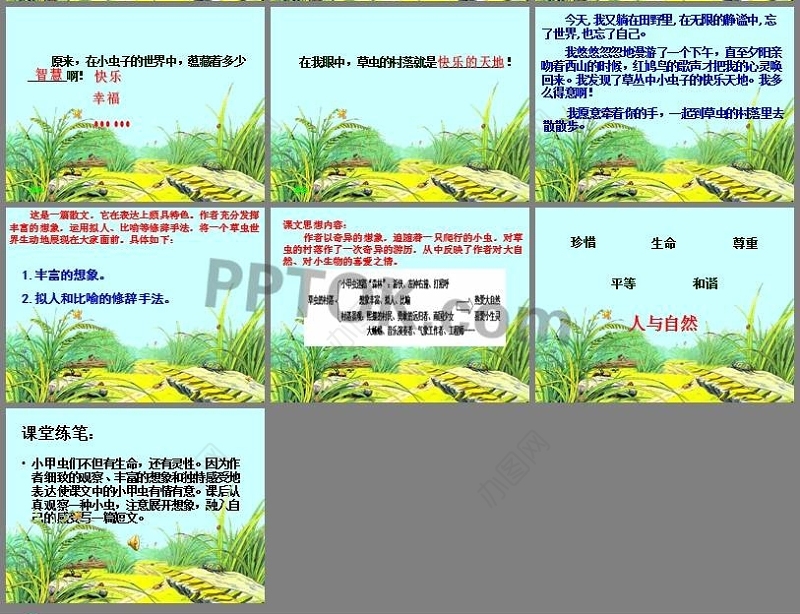 2022草虫的村落PPT创意简洁语文教学课件
