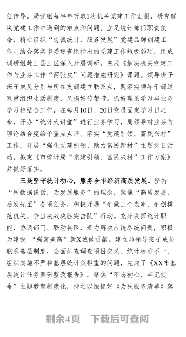 202X年度统计局书记抓基层党建和人才述职报告