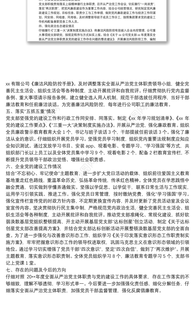公司落实全面从严治党主体职责与党的建设工作自查报告
