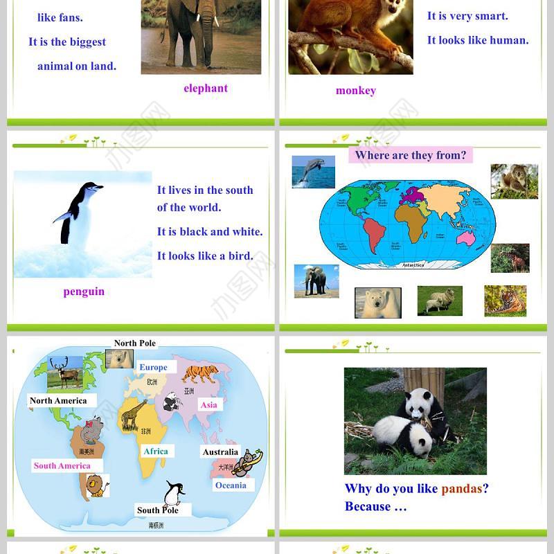  Why do you like pandas英语课件PPT模板