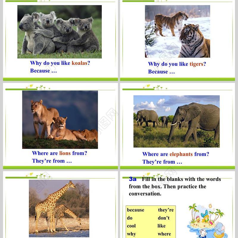  Why do you like pandas英语课件PPT模板