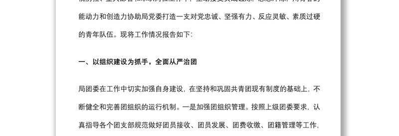 市局团委换届选举工作报告