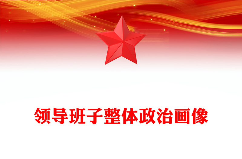 领导班子整体政治画像
