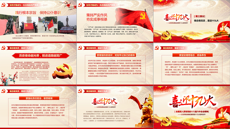 2019党委党政做合格党员PPT模板