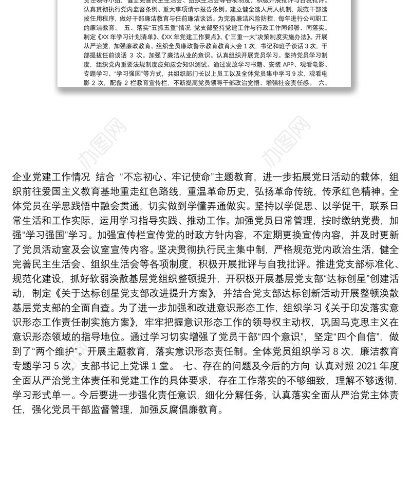 公司全面从严治党和党建工作落实情况检查自查报告