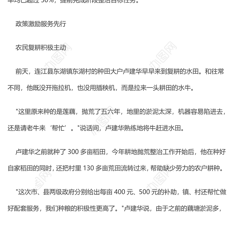 农村耕地抛荒撂荒整治方案第3篇