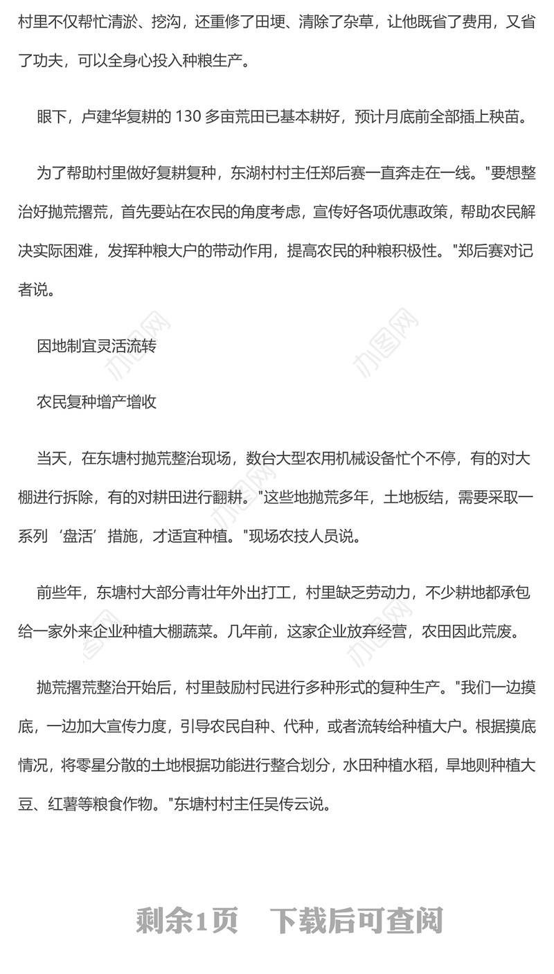 农村耕地抛荒撂荒整治方案第3篇