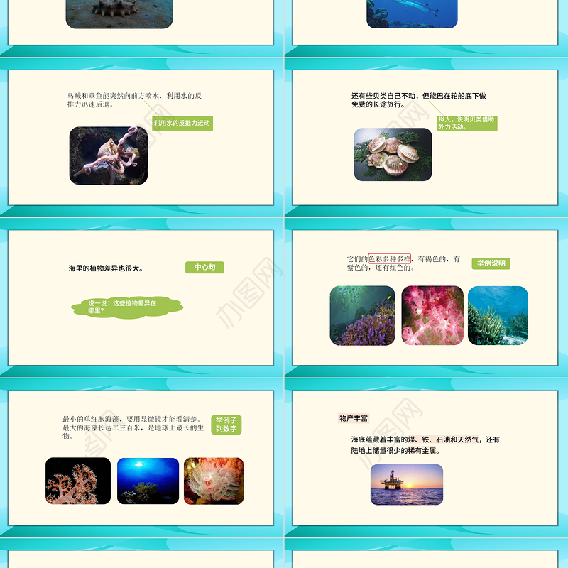 2022海底世界PPT第23课小学三年级语文下册部编人教版教学课件