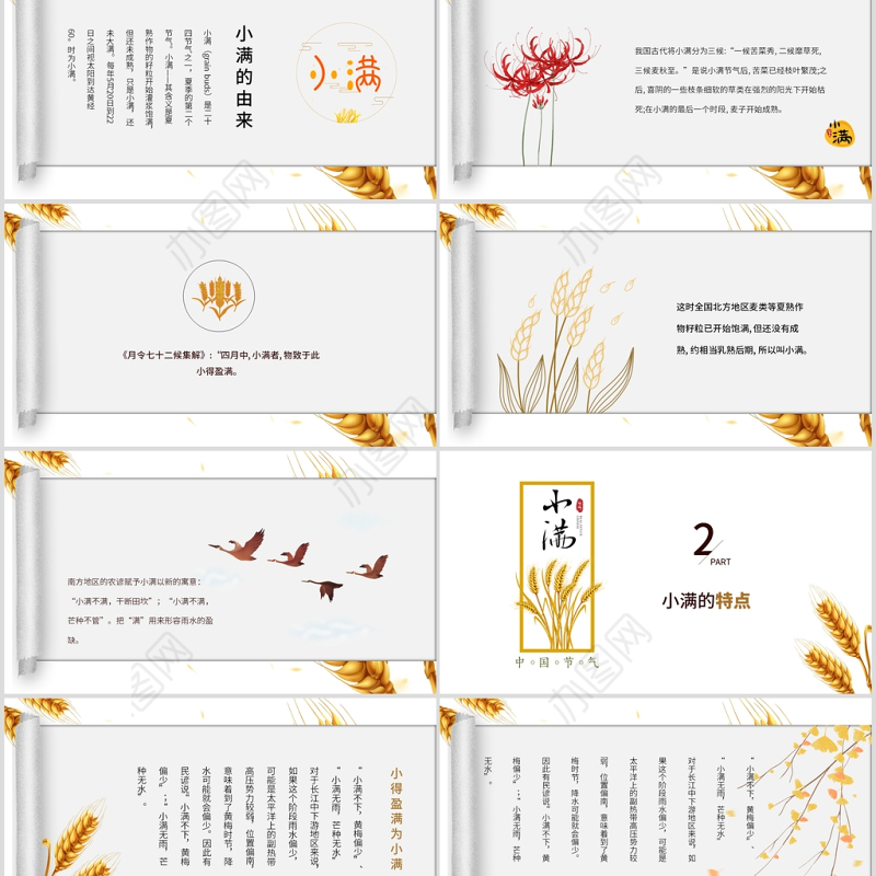简约风麦穗中国二十四节气小满介绍PPT模板