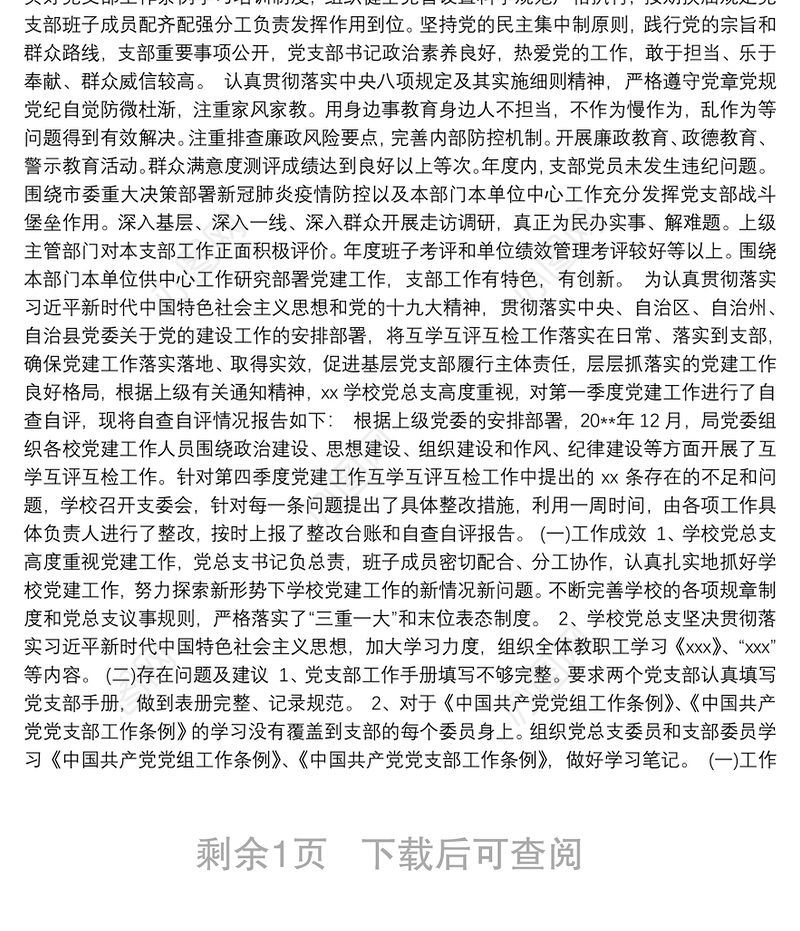 党支部党建工作情况自评报告