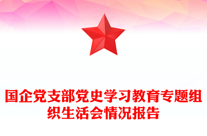 国企党支部党史学习教育专题组织生活会情况报告