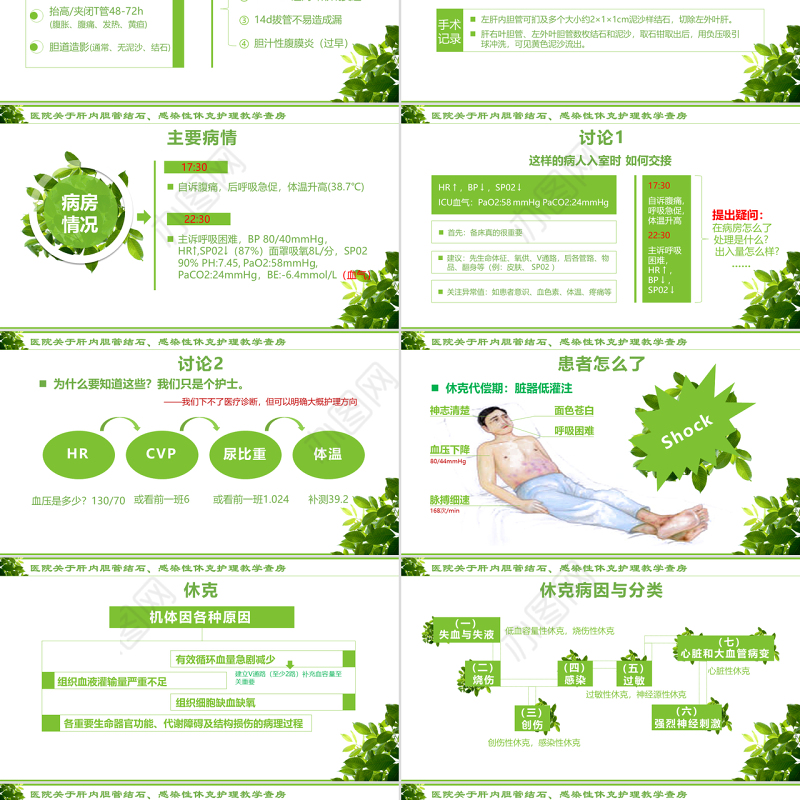 感染性休克肝胆内结石护理教学查房PPT模版