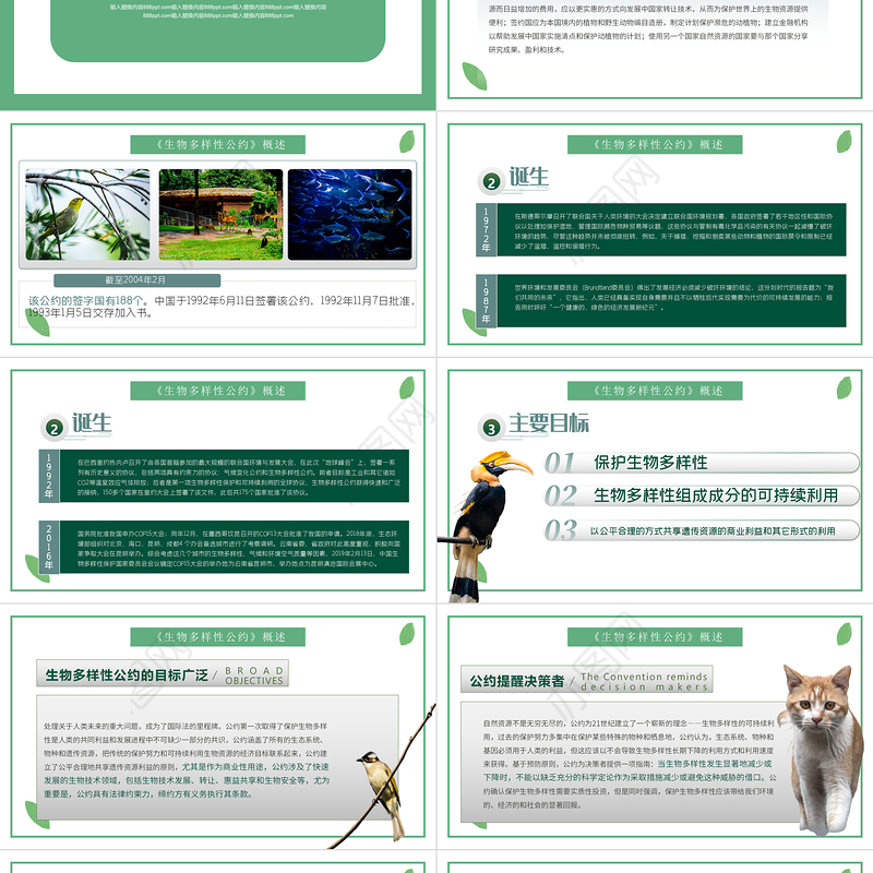 绿色清新生物多样性公约第十五次缔约方大会讲话精神解读党课PPT