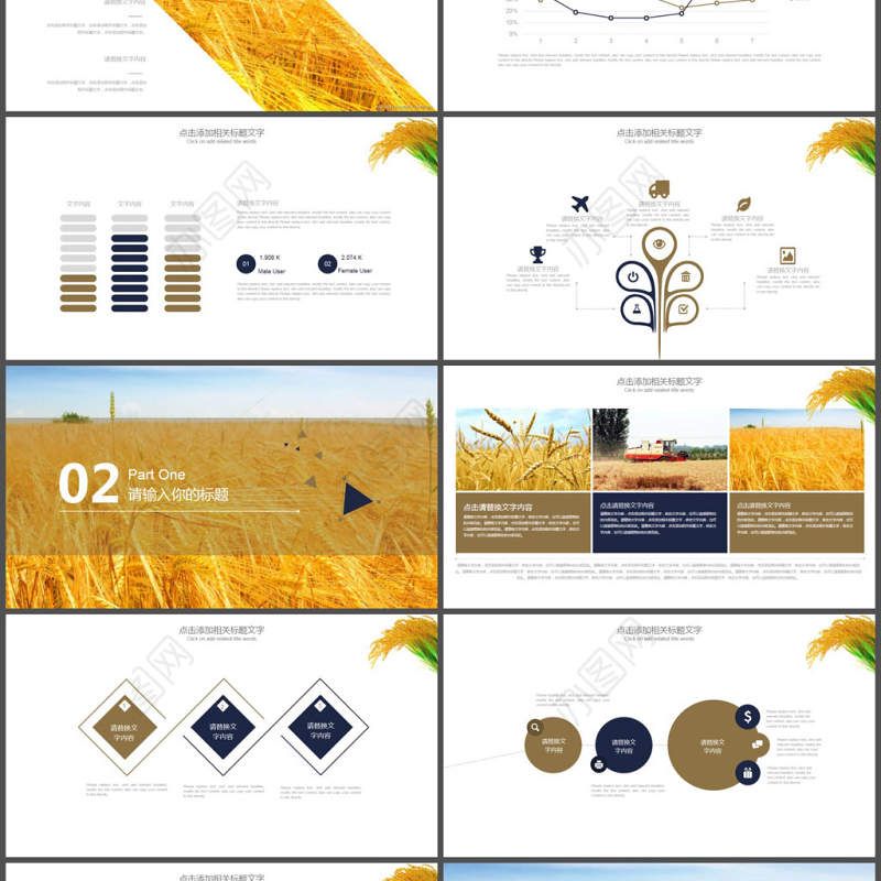 农产品农业发展工作总结PPT模板