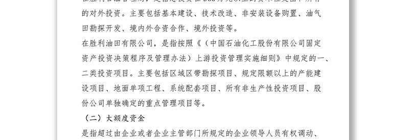 2021重大项目投资决策大额度资金运作问责制度