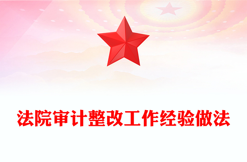 法院审计整改工作经验做法