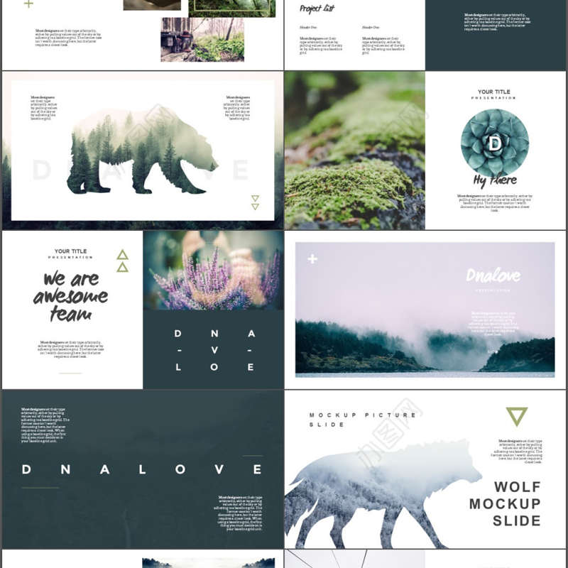 欧美动物之森文艺自然风景动物保护PPT模板