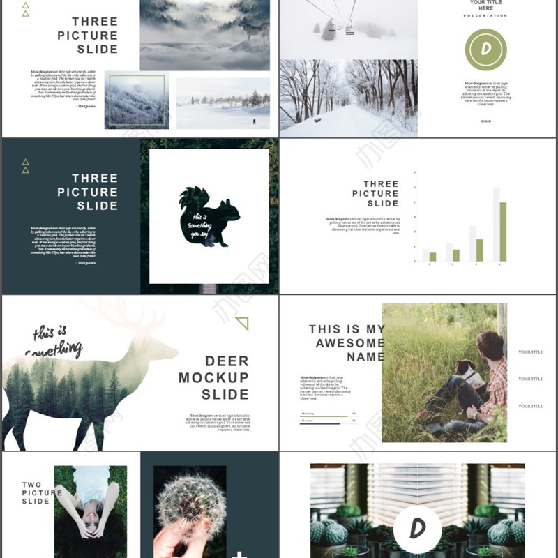 欧美动物之森文艺自然风景动物保护PPT模板