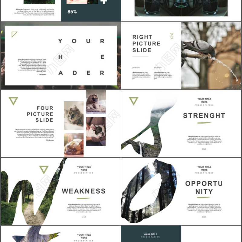 欧美动物之森文艺自然风景动物保护PPT模板