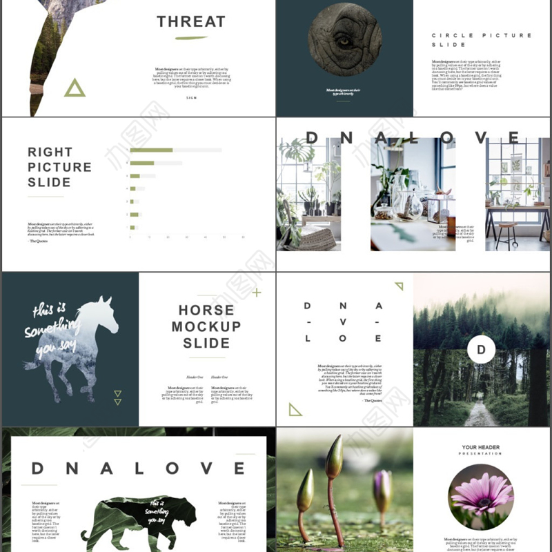 欧美动物之森文艺自然风景动物保护PPT模板