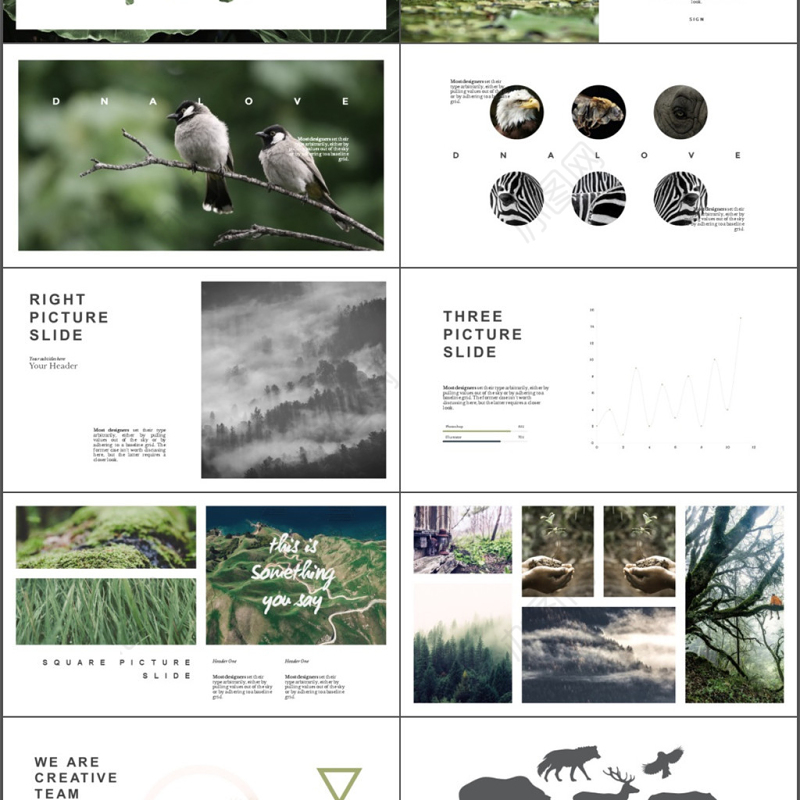 欧美动物之森文艺自然风景动物保护PPT模板