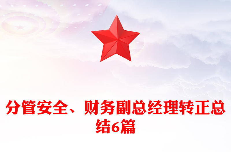 分管安全、财务副总经理转正总结6篇