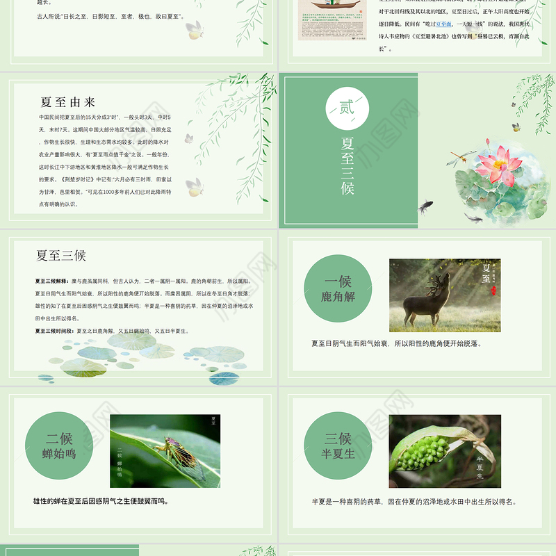 2020年最新传统节气之夏至PPT模板