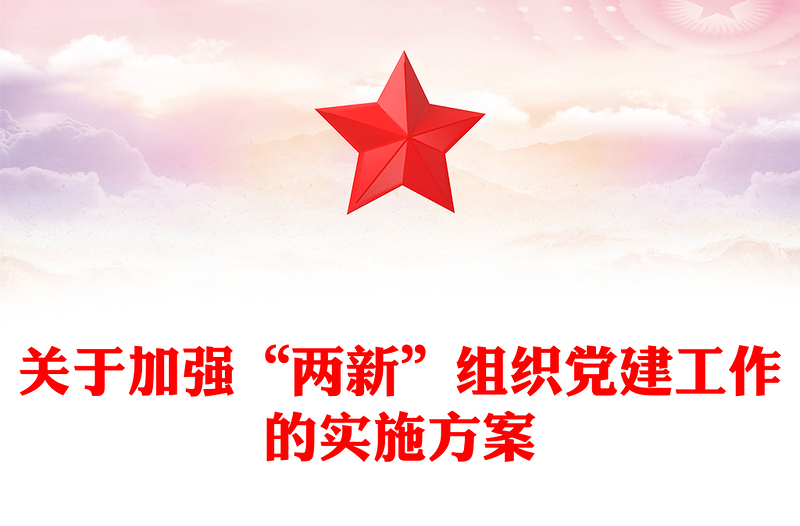 关于加强“两新”组织党建工作的实施方案