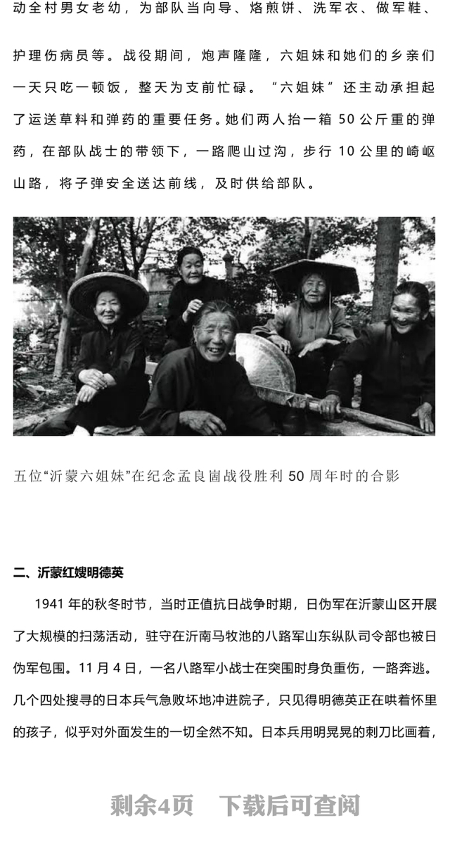 沂蒙红色故事PPT大气质感红色基因代代传春风化雨润心田党史故事主题课件