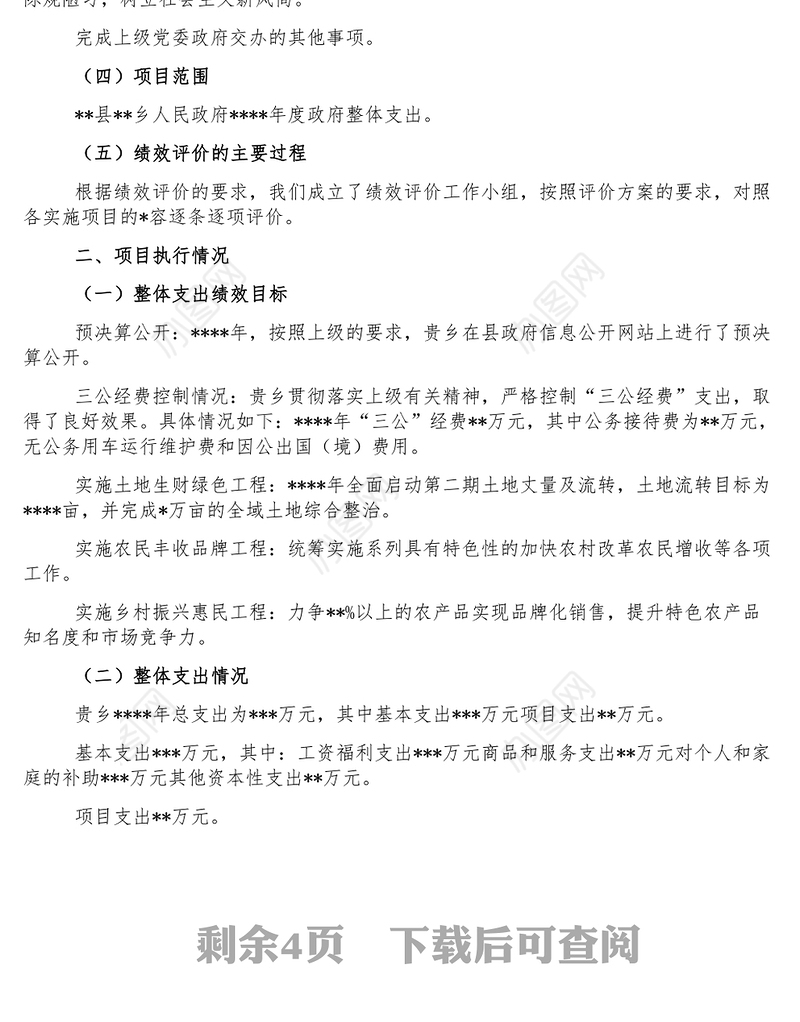 财政支出项目绩效评价报告