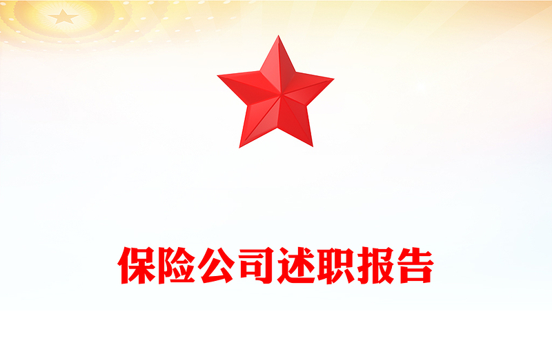 保险公司述职报告