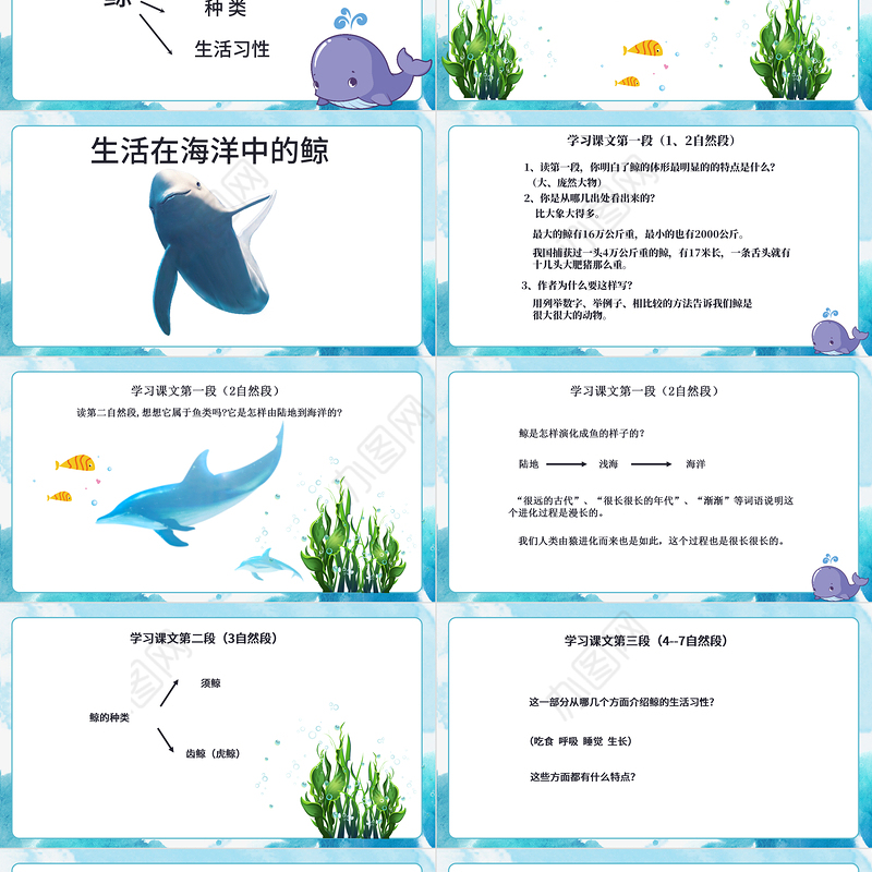 2022鲸PPT习作例文小学五年级语文上册部编人教版教学课件