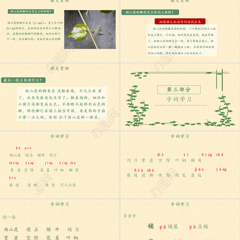2022爬山虎的脚PPT第10课小学四年级语文上册部编人教版教学课件
