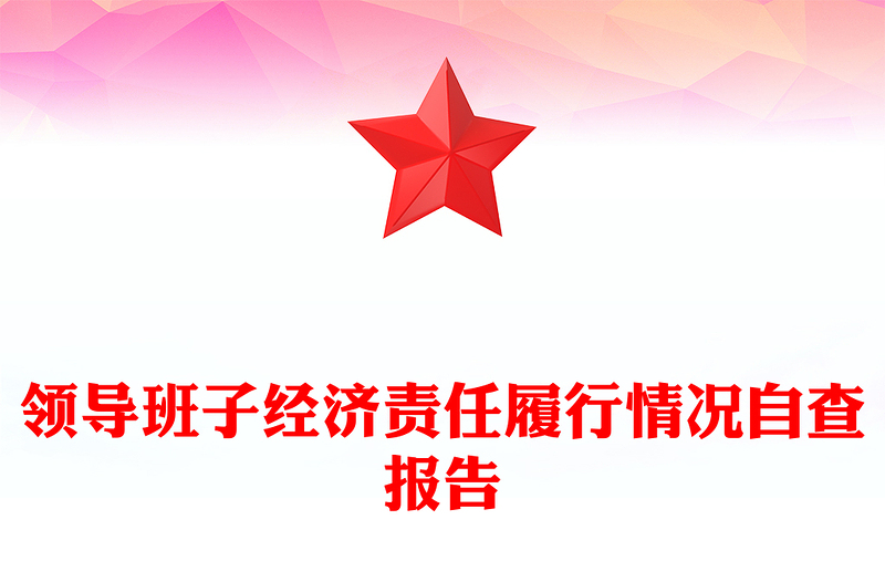 领导班子经济责任履行情况自查报告