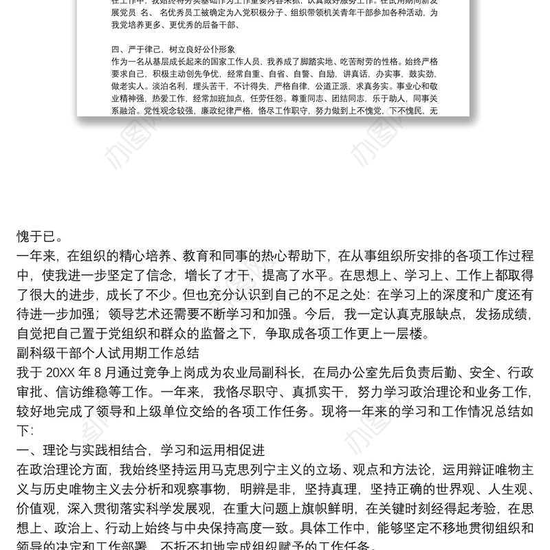 副科级干部个人试用期工作总结
