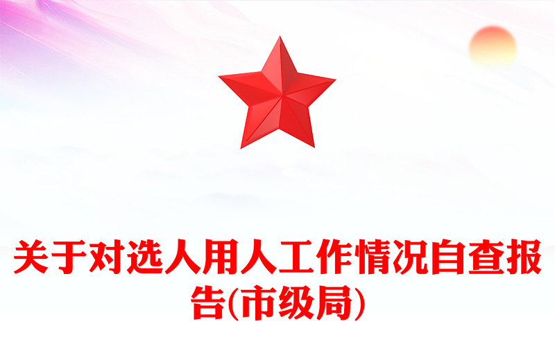 关于对选人用人工作情况自查报告(市级局)