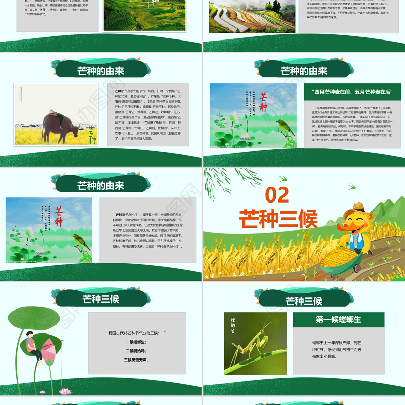 原创绿色清新芒种节气中国二十四节气PPT班会-版权可商用