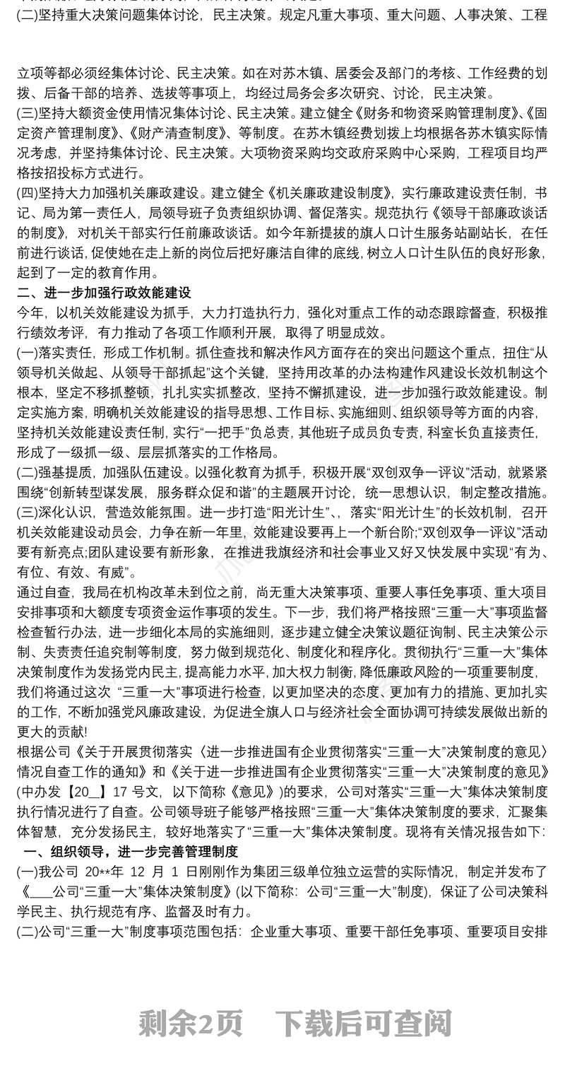 三重一大执行情况自查报告3篇