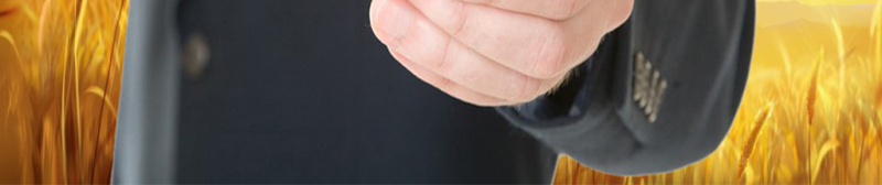 时尚大气农业银行工作总结计划PPT模板