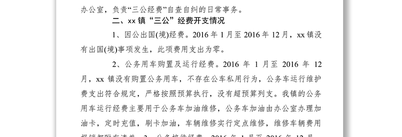 2021XXXX年乡镇三公经费支出情况专项检查工作自查报告
