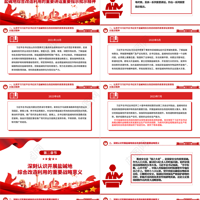 2023积极推进盐碱地综合改造利用ppt红色简洁风着力夯实国家粮食安全的资源基础党组织党支部专题党课教育课件