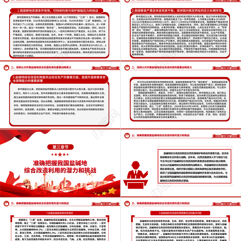 2023积极推进盐碱地综合改造利用ppt红色简洁风着力夯实国家粮食安全的资源基础党组织党支部专题党课教育课件