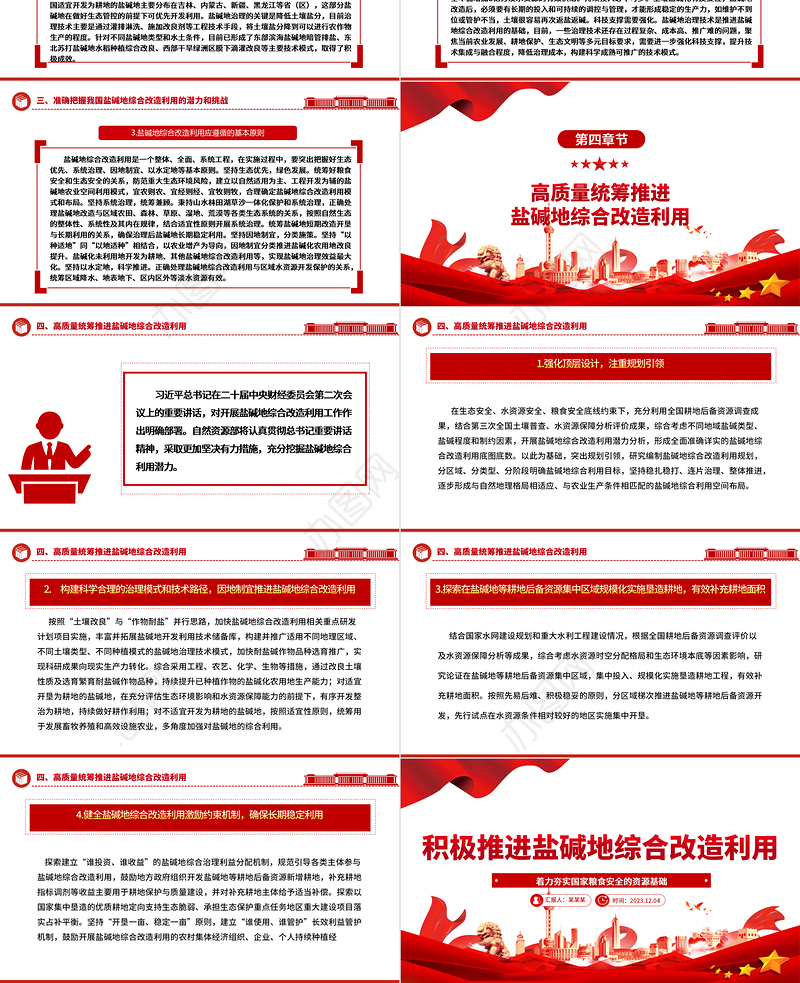 2023积极推进盐碱地综合改造利用ppt红色简洁风着力夯实国家粮食安全的资源基础党组织党支部专题党课教育课件