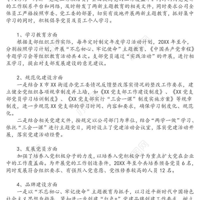 党支部“两新”党建工作总结