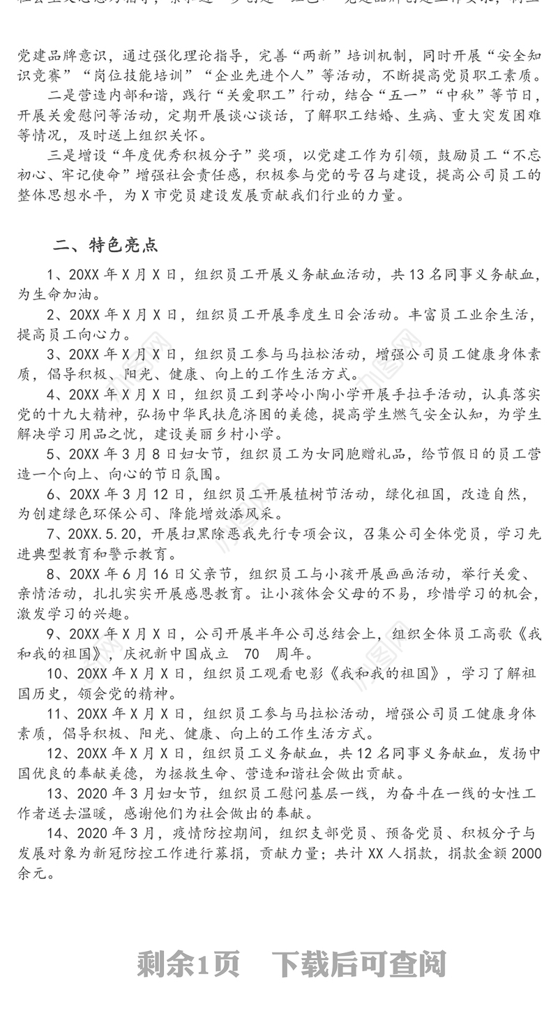 党支部“两新”党建工作总结