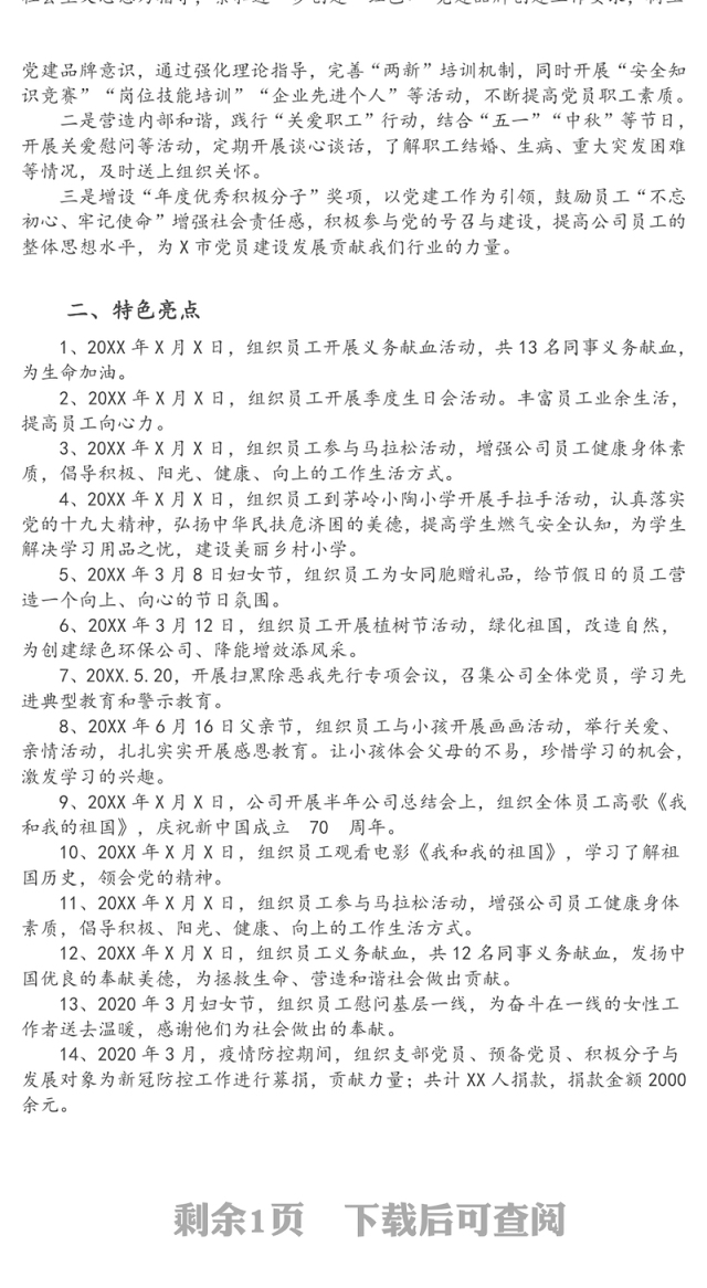 党支部“两新”党建工作总结